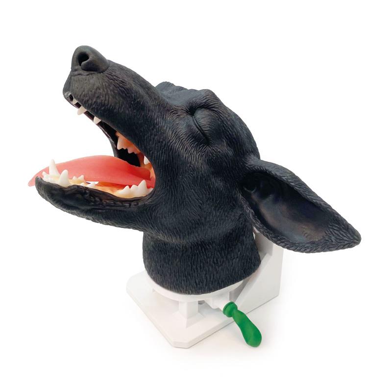 ERLERZIMMER Intubationskopf Hund