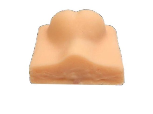 [24956-01] ERLERZIMMER Simulation Model Dog Castration