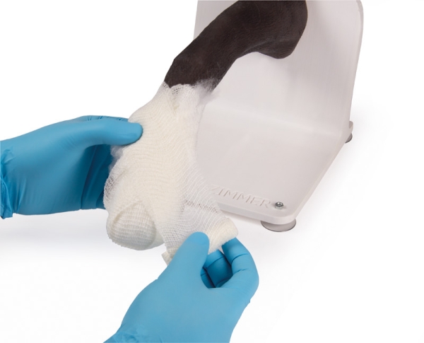 ERLERZIMMER Bandaging Trainer Dog Paw