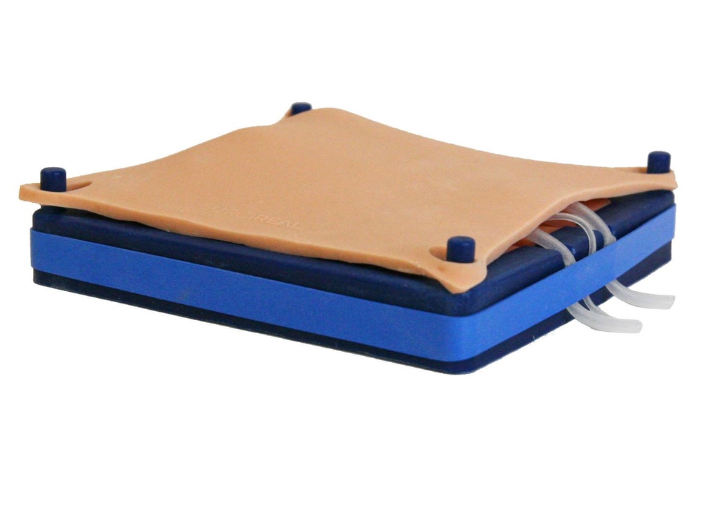 ERLERZIMMER Simulator for Dog Castrations