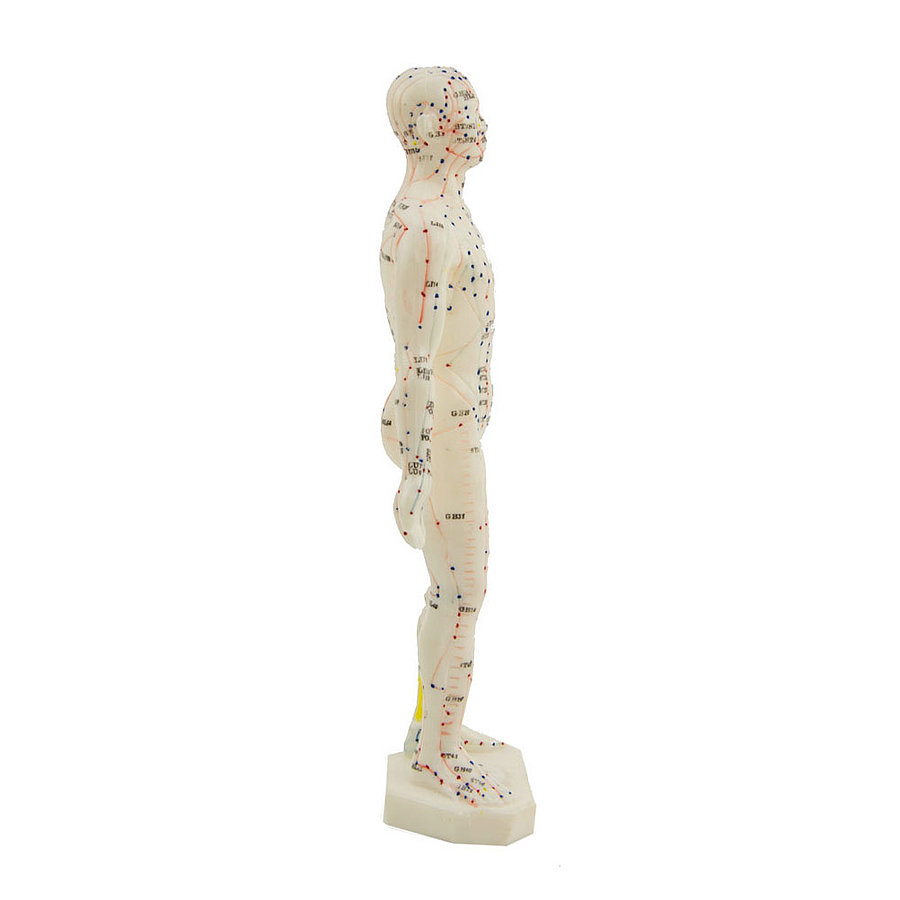 HEINESCIENTIFIC Small acupuncture figure