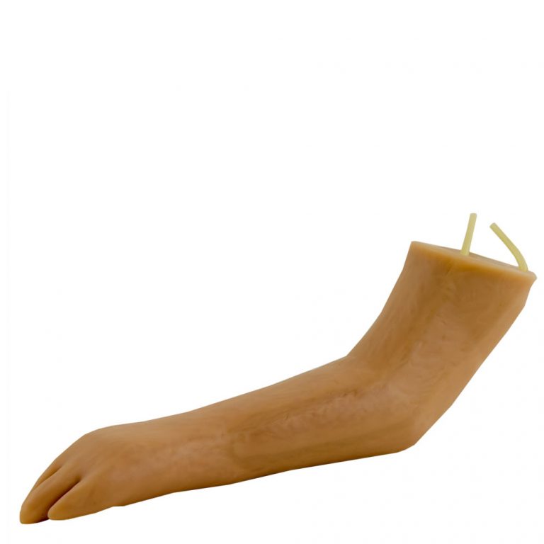 HEINESCIENTIFIC Hundepfote Injektionstrainer