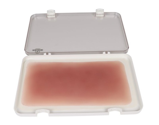 [27404-01] ERLERZIMMER Wundmoulage Verbrennung 1. Grades