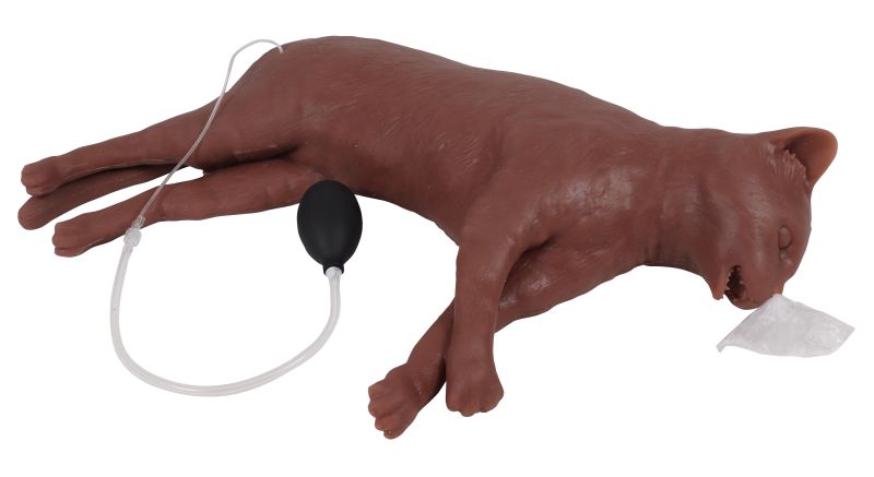 ERLERZIMMER Katzen-HLW-Puppe "CaPpeR"