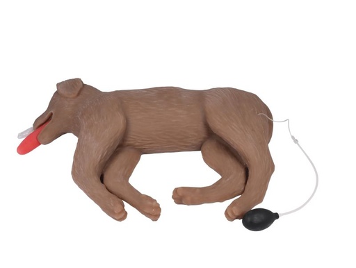 [27483-01] ERLERZIMMER CPR Practice Dog "CooPeR"