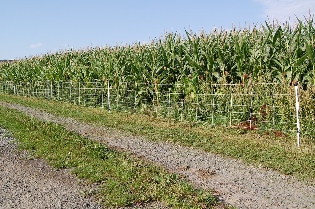 GÖBEL Euro-Wildschwein-Netz