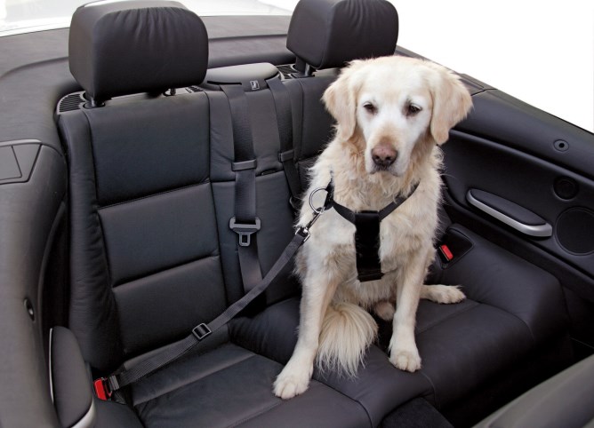 KERBL Autohundegeschirr