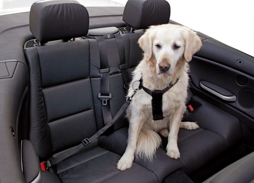 KERBL Car dog harness