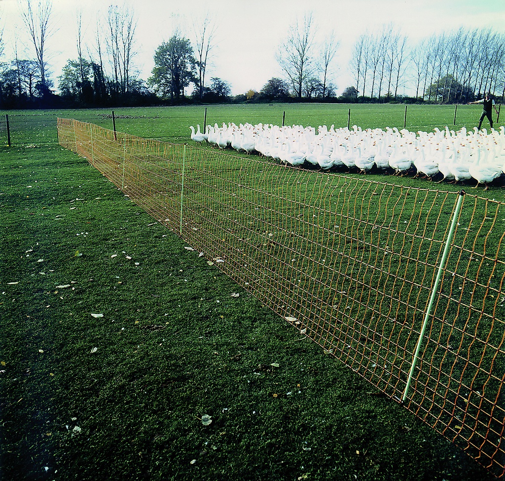 GÖBEL Euro-Netz 112/2 Wildverbiss 50m