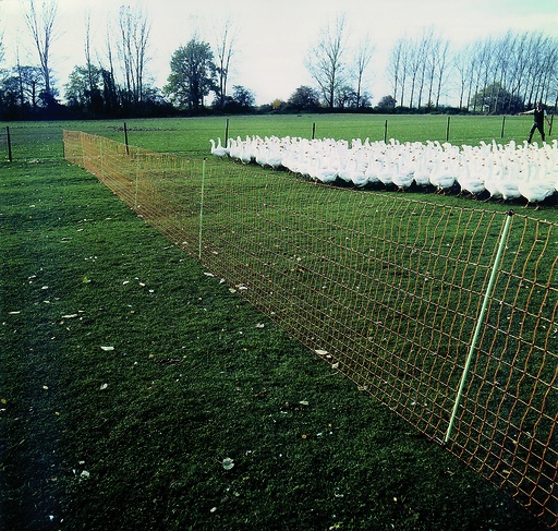 [23725-01] GÖBEL Euro-Netz 112/2 Wildverbiss 50m