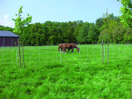 [23754-01] GÖBEL Euro Horse Net 120/2 30.5m