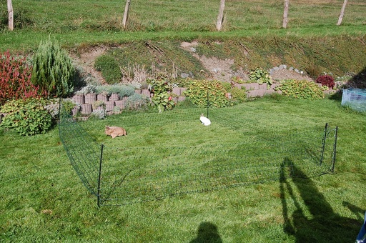 [23760-01] GÖBEL Kleintiernetz 65/1 12m grün