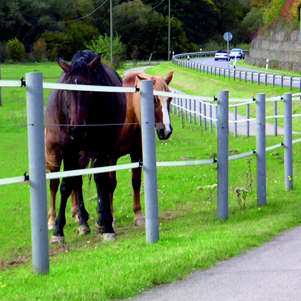 GÖBEL Recycling-Pfähle rund mit Spitze, 10 x 175 cm