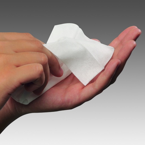 [16539-02] HOLTHAUS YPSISEPT Skin cleaning wipes 14 x 19 cm