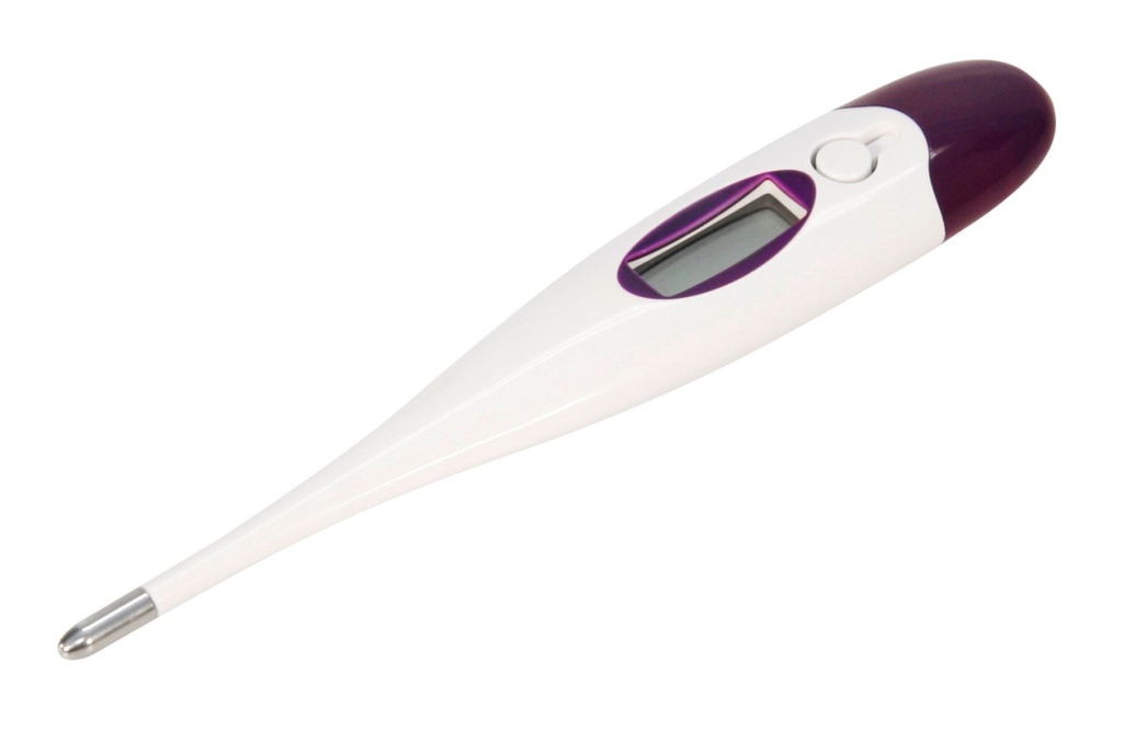 KERBL Digital Thermometer