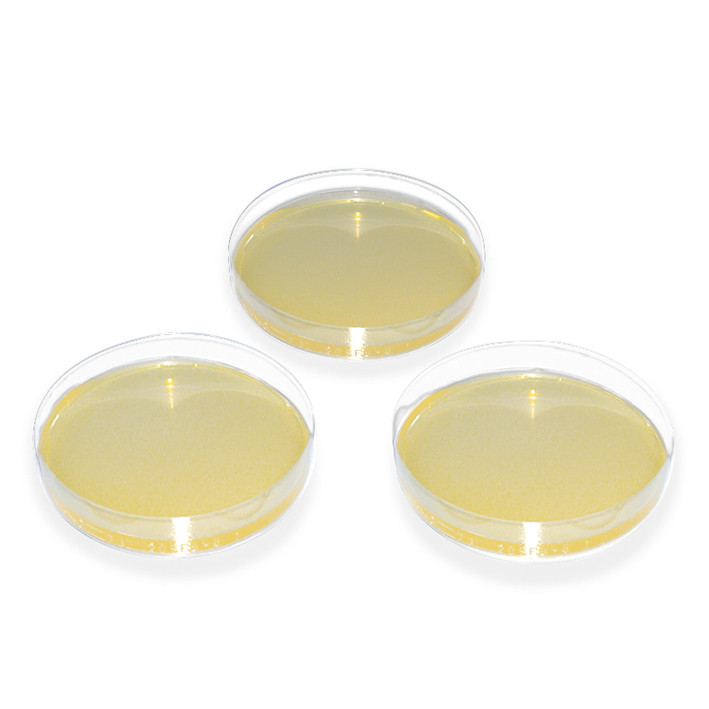 MEGRO Fungal agar according to KIMMIG