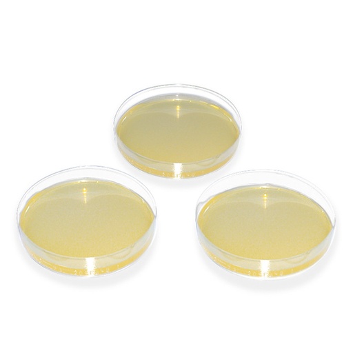 [14432-01] MEGRO Fungal agar according to KIMMIG