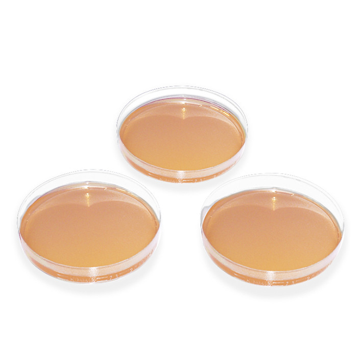 MEGRO Dermatophyte Selective Agar (Taplin)