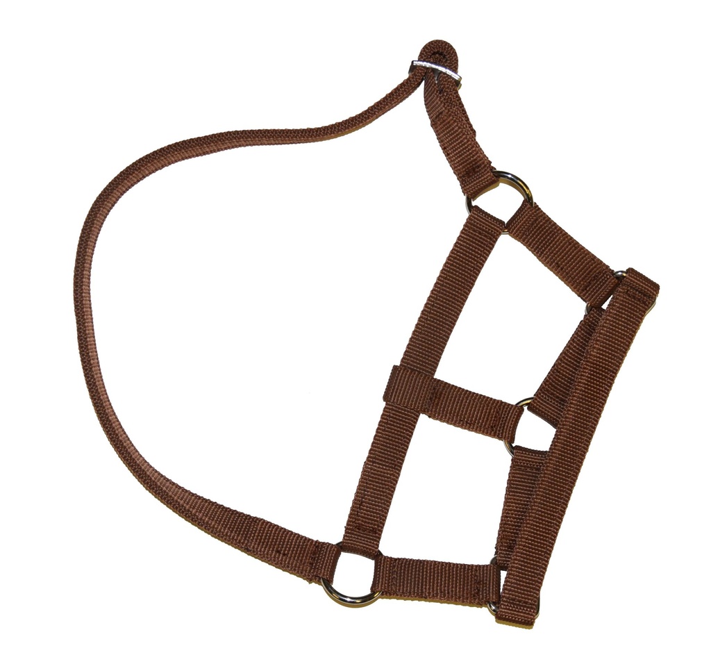 GÖBEL Head halter for sheep & rams Nylon dark red
