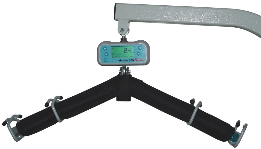 AKS efw Lifterwaage