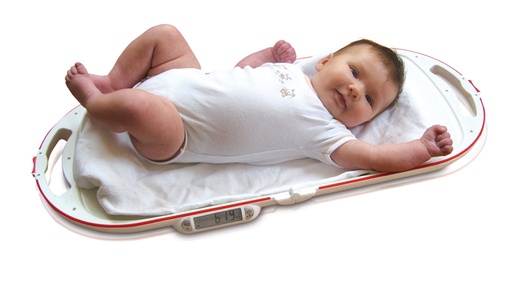 [15577-01] SOEHNLE Babywaage 8320 mit Klappfunktion