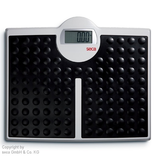 [15584-01] SECA electronic flat scale robus 813