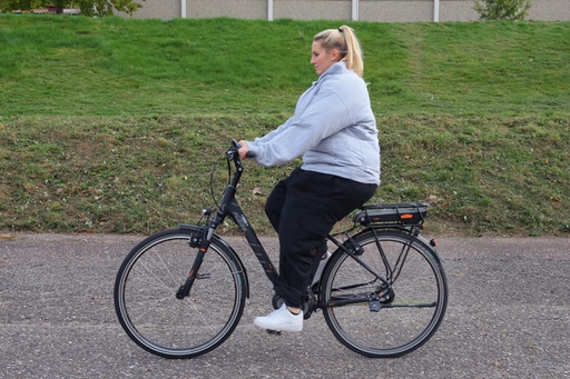 ERLERZIMMER Professioneller Adipositas Trainer