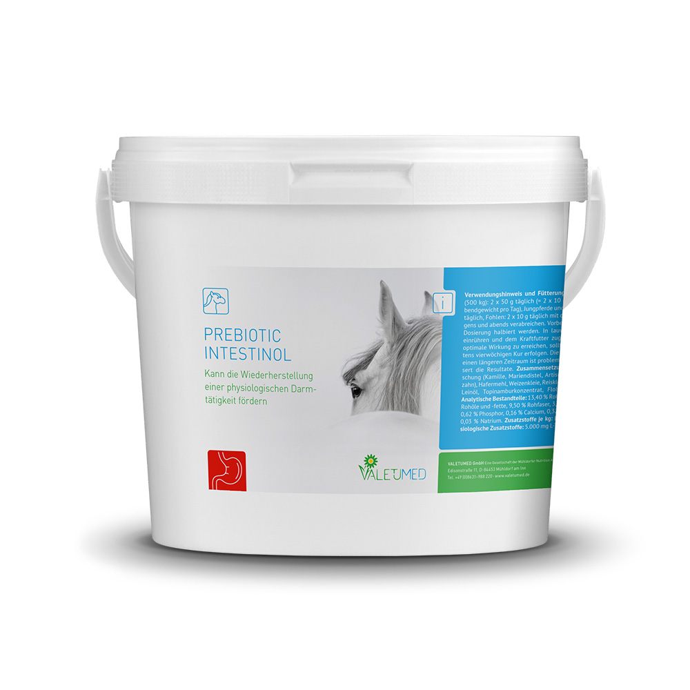 VALETUMED Prebiotic Intestinol, 2500 g