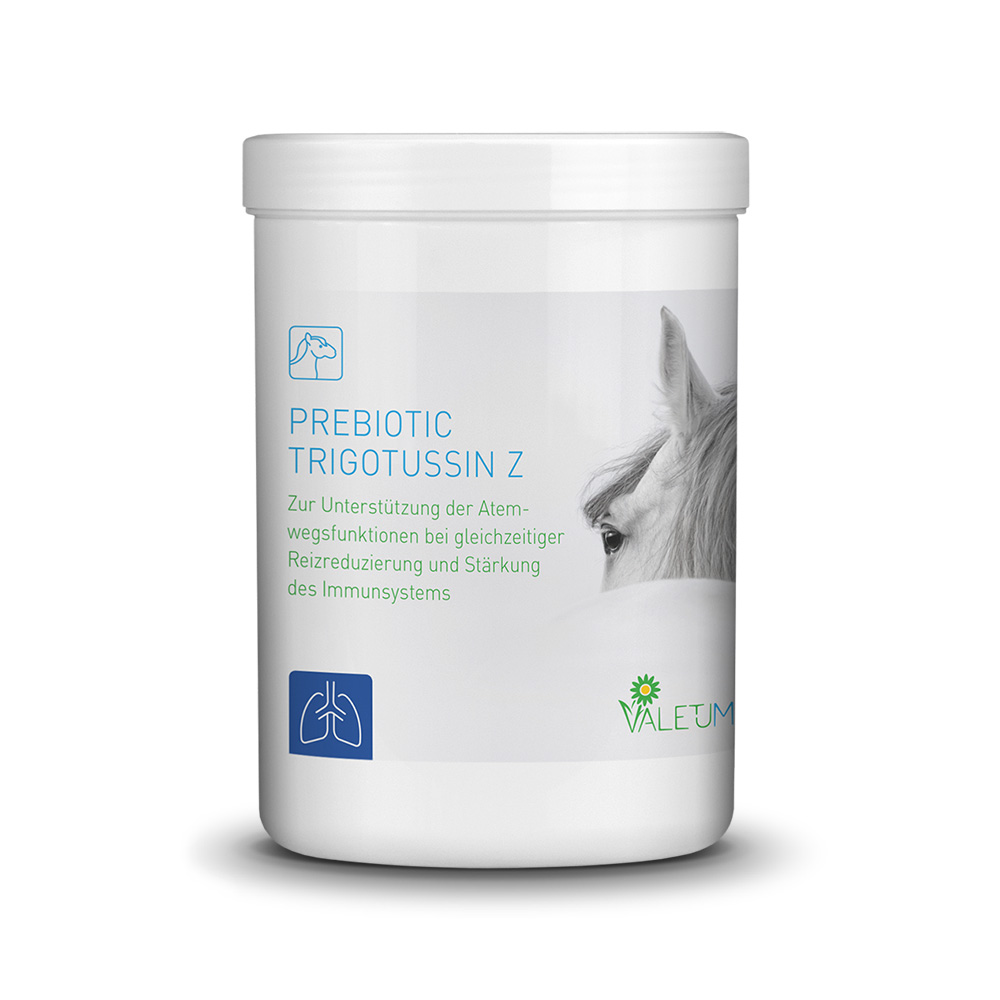 VALETUMED Prebiotic Trigotussin Z, 500 g