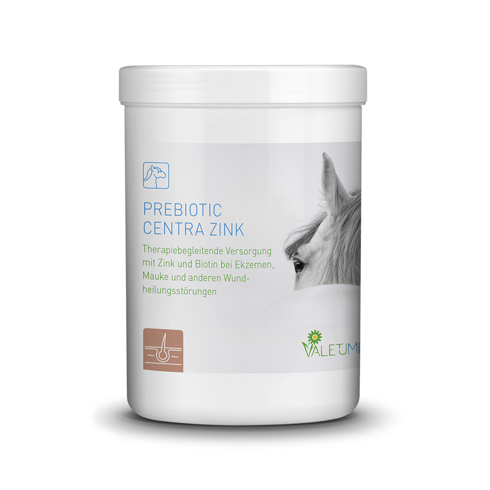 VALETUMED Prebiotic Centra Zin, 750 g
