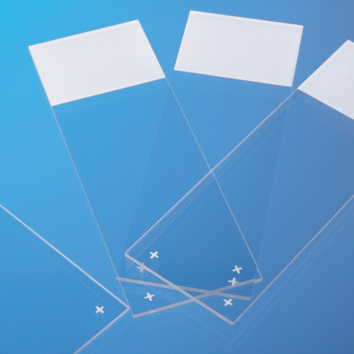 THERMO Adhäsionsobjektträger