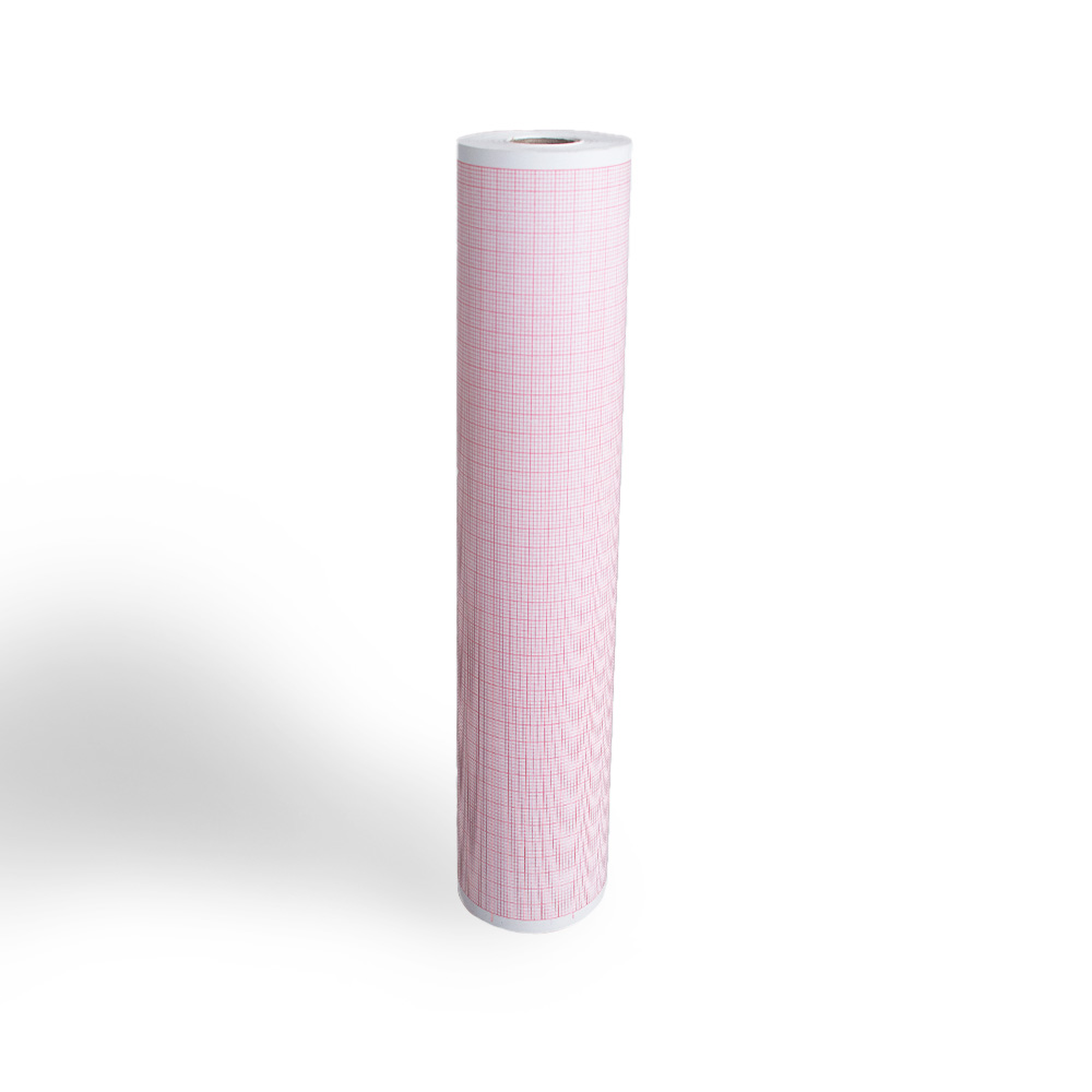 BLUMBERG EKG Druckerpapier Rolle inkl. Raster für Cardio-Serie